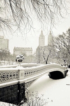 安之若素◆采集到会有雪精灵的地方