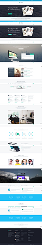 Business 02 | TheFox #网页设计# #GUI#