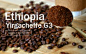 耶加雪啡是座小镇，海拔1700--2100米，也是埃塞俄比亚精品豆的代名词。
这里自古是块湿地，古语[耶加](yirga)意指[安顿下来]，[雪啡](cheffe)意指[湿地]，因此[耶加雪啡]意指[让我们在这块湿地安身立命]。它是埃塞俄比亚平均海拔最高的咖啡产区之一。
所谓的‘耶加雪啡味’是指浓郁的茉莉花香、柠檬以及桃子、杏仁甜香和茶香。