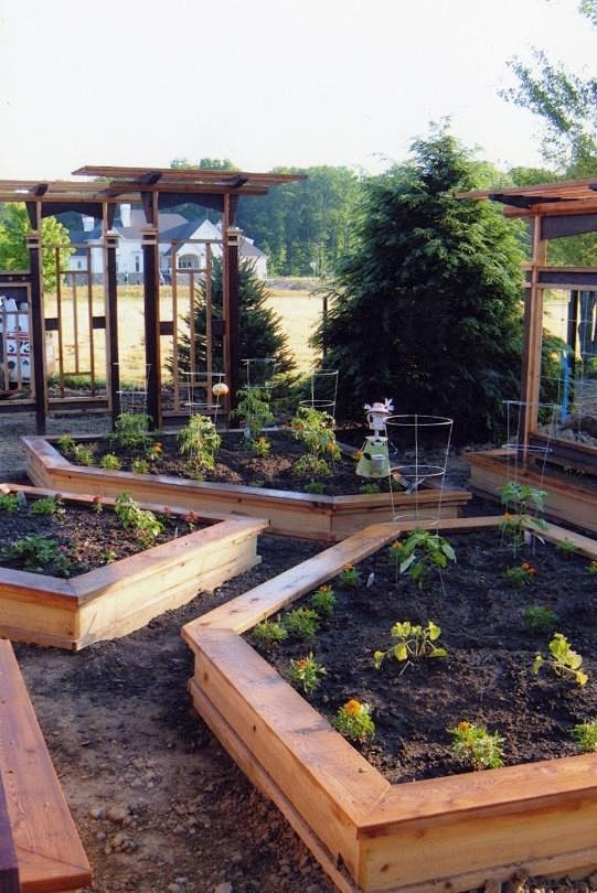 私家花园福利：想在私家花园里种菜的看过来...