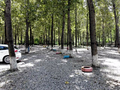 lvlinmuwu采集到停车场