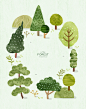 森林树林木绿植自然风景插画插图环保海报背景PSD设计素材