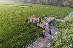 景观云锦采集到美丽乡村