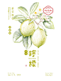 “果”燃----系列版画一（水果） - 小红书
