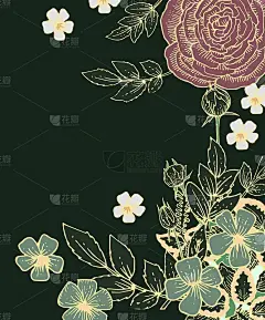 牡丹,玫瑰花朵。背景说明。手绘轮廓。园林植物的开花抽象工厂图片。向量