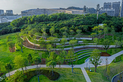 baozibaozi采集到植物