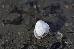 -中午好