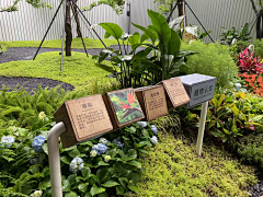 LLLLLLLsy采集到科普花园