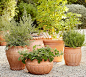 Umbria Planters | Pottery Barn