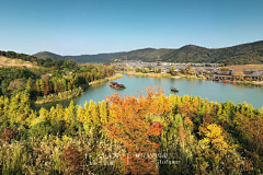 关山、家采集到PPT背景板