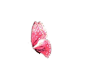O1CN01qBuBQP1JoOXMFx34h_!!1645111075.gif (195×179)