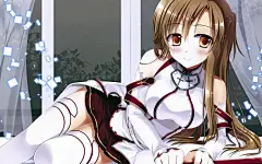 日本动漫刀剑神域壁纸大全