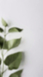 (4) Pinterest