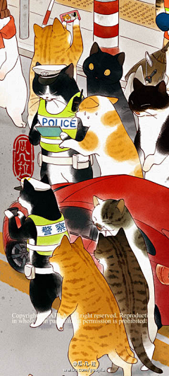 烧鹅饭采集到猫