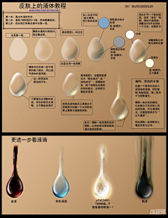 z2lsky采集到教程