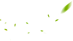  漂浮元素免抠png图片壁纸