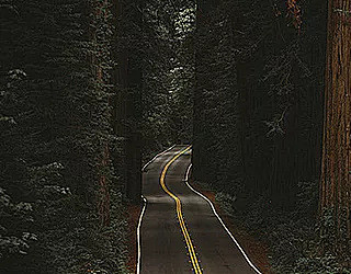 Roadtripping Oregon