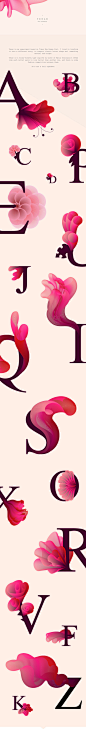 女性，花卉，柔美
TENAR新罗马字体设计by Iryna Korshak 设计圈 展示 设计时代网-Powered by thinkdo3