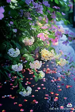 花草集 - 高清图片，堆糖，美图壁纸兴趣社区