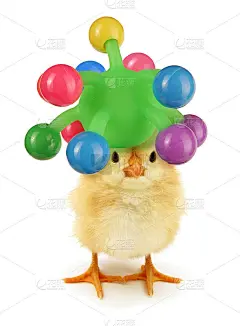 有更疯狂帽子小丑的疯妞