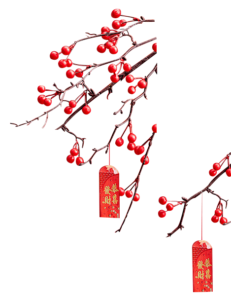 枝条