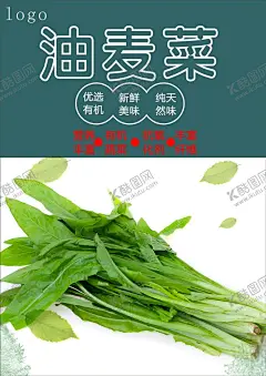 油麦菜海报 【酷图网】油麦,新鲜油麦,绿色油麦,美味蔬菜,营养蔬菜,绿色蔬菜,油麦海报,油麦广告,油麦高炮,油麦装饰画,开洋娃娃菜,菜籽,儿儿菜,干锅,油麦挂画,油麦宣传,油麦画册,油麦灯箱,油麦杂志,油麦折页,油麦包装,油麦彩页,菜谱内页,菜牌,水果宣传,蔬菜展板,蔬菜超市,蔬菜市场,蔬菜广告