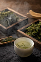 安吉白茶图片下载