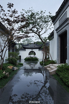 七月000000采集到中式