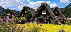 尽享日本天皇曾多次造访的下吕温泉+感知童话般的世界遗产白川乡+大阪环球影城畅游+品味高山飞驒牛肉