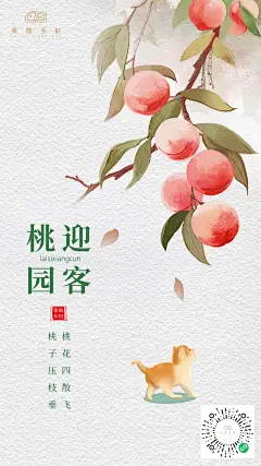 莱斯热推 | 摩拳擦掌，抬头张嘴，吞咽口水，一口爆汁，蜜桃脑袋已准备就绪！_桃园_蟠桃_黄桃甜 :  甜蜜爆汁的桃桃才是夏日里最美好的记忆~ 它也是一场特种兵的旅行~这一口黄桃甜，让莱莱等了整整一年，今天在迎客桃园盛大回归~ 在闷热的空气里，水蜜桃也悄悄地成熟了，白嫩水灵，汁甜如蜜，软嫩得可以轻松剥皮，插上…