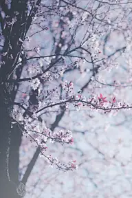 人生若只如初见，何事秋风悲画扇