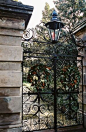 166_iron-garden-gates-iron-fences