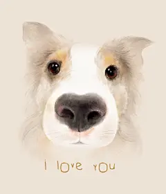 #狗狗#  #可爱#