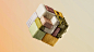 Behance 上的 Lululemon