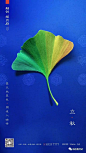 融创揽月府-立秋