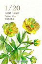 豆芽君的haru酱的微博_微博