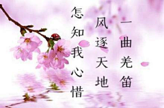 楠韶采集到古风之韵