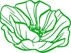 花形状  - 源文件下载【酷图网】花,鲜花,花卉,手绘花卉,手绘花卉框架,线条花,角花,花纹,玫瑰花,太阳花,花苞,花骨朵,花型,花心,花形状,线条画,素描花,花朵