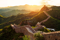 龙王公仔采集到杂图