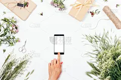 夏天,智能手机,礼物,女性,田地,智慧,盒子,生日,乡村风格,仅成年人