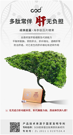 YL设计采集到护肝