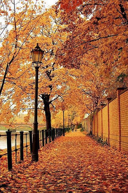 Autumn Walk, Berlin,...