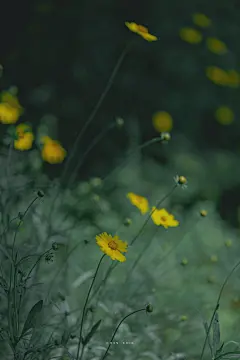 热门 - 热门微博 - 微博 _手机壁纸-风景_T2022418 