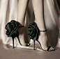 ——

黑蔷薇高跟鞋

Giuseppe Zanotti ​​​
