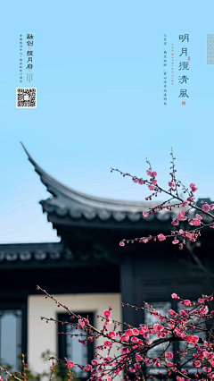 素昧i采集到节日节气
