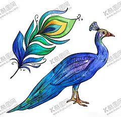 孔雀 【酷图网】孔雀,孔雀开屏,孔雀毛,羽毛,开屏,蓝孔雀,绿孔雀,刚果孔雀,白孔雀,孔雀素材,孔雀设计,孔雀壁纸,孔雀摄影,孔雀高清,水彩图案,孔雀拍摄,孔雀园,孔雀世界,孔雀生活,孔雀矢量图,鸟,鸟类,大鸟,大鸡,鸡雉,唯美,动物,野生动物