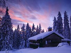 翠玉竹林采集到雪景