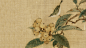 中国风国画古代名人名画花鸟画枇杷山鸟图