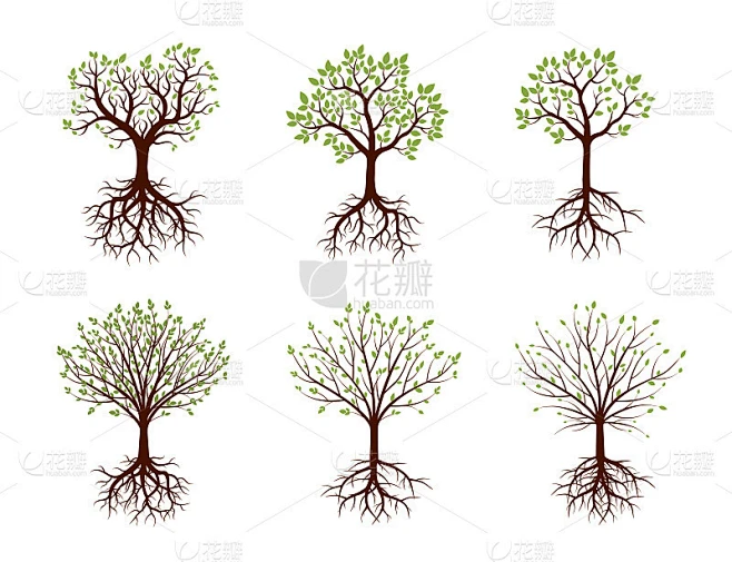 树、根和叶的形状。矢量插图。素材-花瓣网