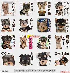 line贴图表情包移动约克夏犬的贴纸|Move! sticker of Yorkshire Terrier 这是一个可爱的约克夏梗贴纸??，我很高兴，如果你可以用它喜欢各种狗，包括约克犬，|It is a cute moving Yorkshire terrier sticker. I am very happy if you can use it for people who love various dogs including yorkie.@飞天胖虎